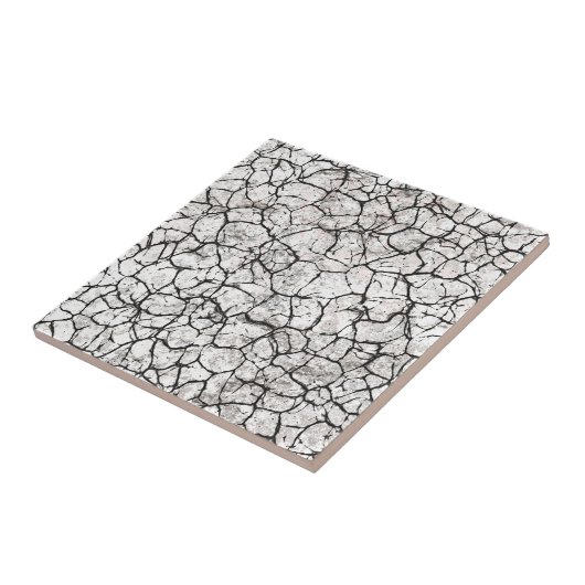 Cracked Marble Digital Pattern タイル (側面)