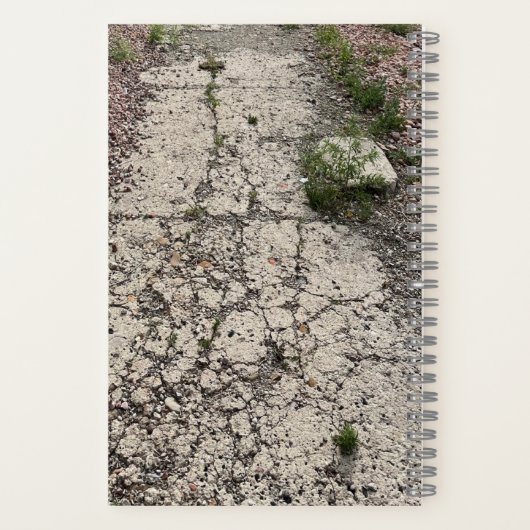Cracked Pavement Bullet Journal Spiral Notebook ノートブック (裏面)