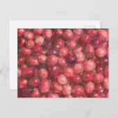 Cranberries Still Life ポストカード (正面/裏面)