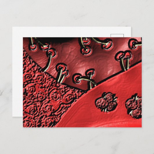 Cranberry Bazaar ポストカード (正面/裏面)