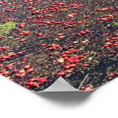 Cranberry Farm, Long Beach, Washington ポスター (角)