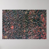 cranberry stir ポスター (正面)