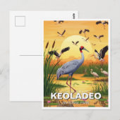 Crane in Keoladeo National Park India Travel ポストカード (正面/裏面)