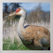 Crane View ポスター (正面)