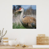 Crane View ポスター (キッチン)