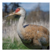 Crane View ポスター (正面)