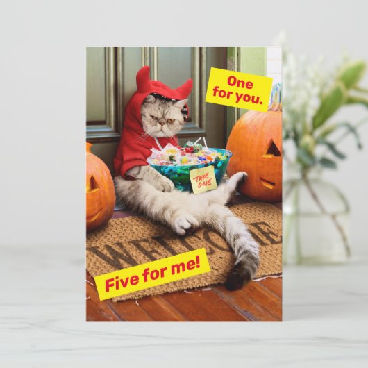  cranky devil cat 招待状 (スタンド正面)