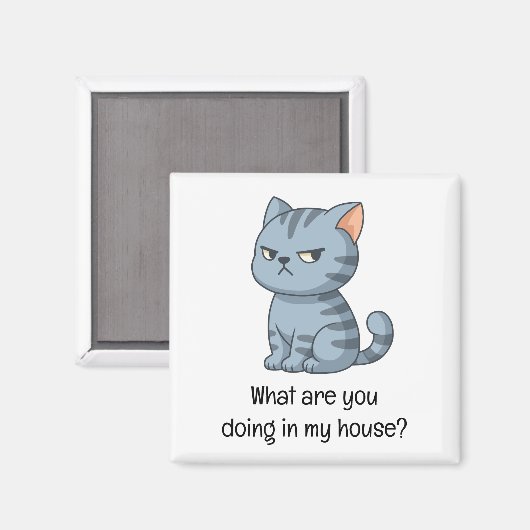 Cranky Grey Tabby Cat Funny Text マグネット (正面/裏面)