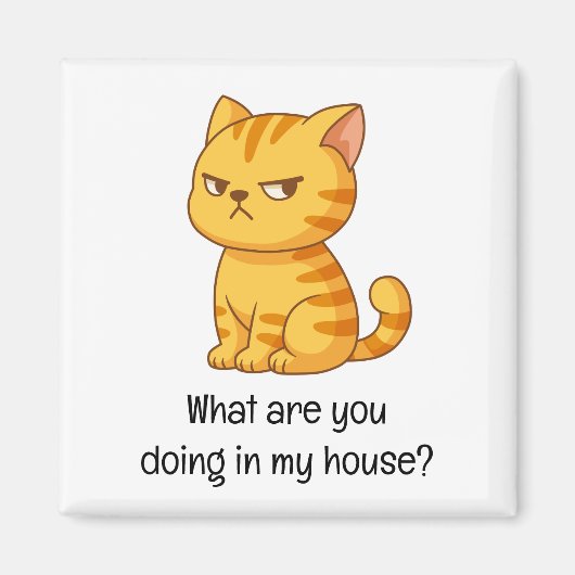 Cranky Orange Tabby Cat Funny Text マグネット (正面)