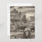 Cranmoor Farm, Toms River, NJ ポストカード (正面/裏面)