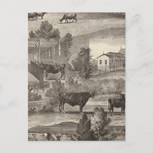 Cranmoor Farm, Toms River, NJ ポストカード (正面)