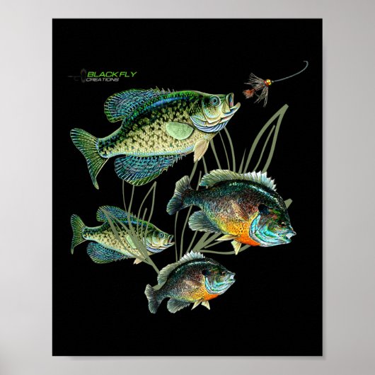 Crappie Bluegill Fishing Shirts Hoodies Black Fly  ポスター (正面)