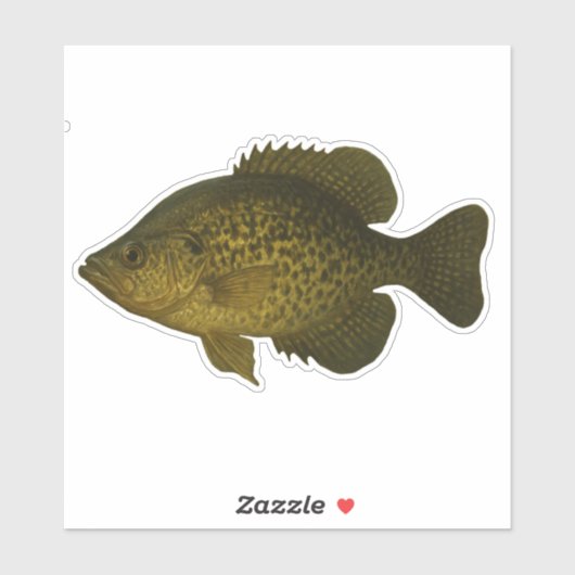 Crappie Cut-out Sticker シール (シート)