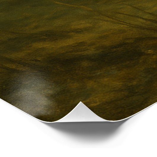 Crappie Poster ポスター (コーナー)