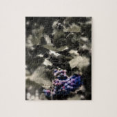 Crash at Tfft Cellars main vineyard ジグソーパズル (縦)