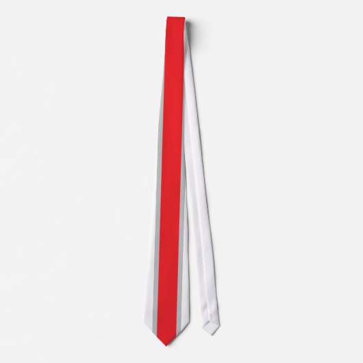 Cravate élégante à rayures rouges et blanches pour ネクタイ (正面)