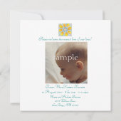 Crawdaddy誕生のお知らせ 案内状 (裏面)