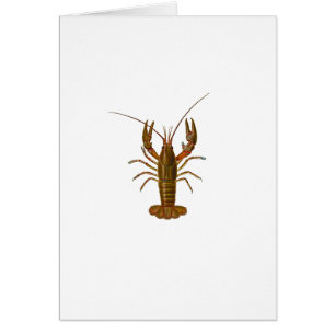 Crawfishのロゴ