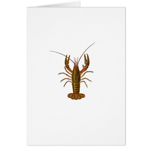 Crawfishのロゴ (正面)