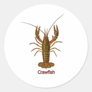 Crawfishのロゴ ラウンドシール