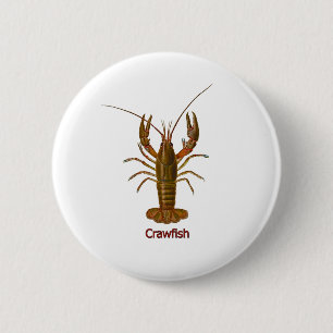 Crawfishのロゴ 缶バッジ