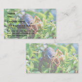 CrawfishのCrawdadsのCrayfish 名刺 (正面/裏面)