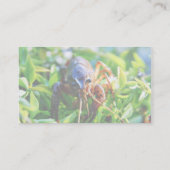 CrawfishのCrawdadsのCrayfish 名刺 (裏面)