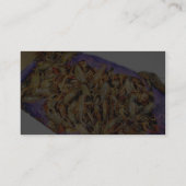 CrawfishのCrawdads 名刺 (裏面)