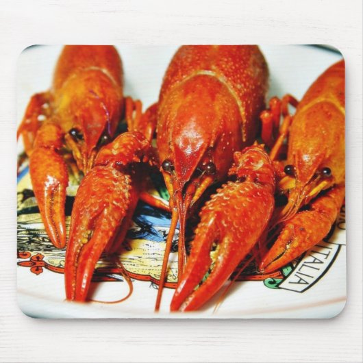CrawfishのCrawdads Craytfish マウスパッド (正面)