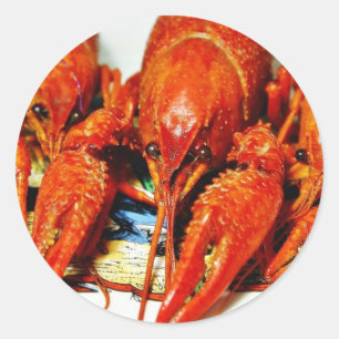 CrawfishのCrawdads Craytfish ラウンドシール
