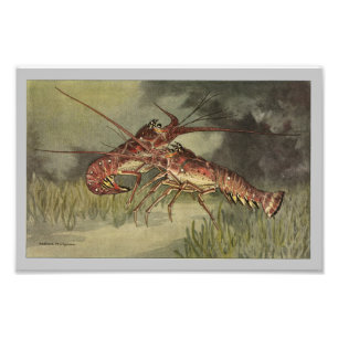 Crawfishまたは伊勢エビのヴィンテージのプリント フォトプリント