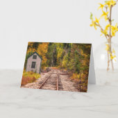 Crawford Notch Train Tracksグリーティングカード カード (黄色い花)