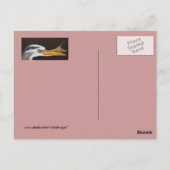 CrayfishからLeapへのハガキ ポストカード (裏面)