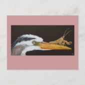 CrayfishからLeapへのハガキ ポストカード (正面)