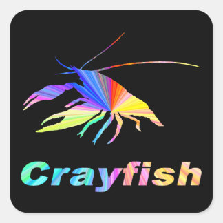 Crayfish-24 スクエアシール