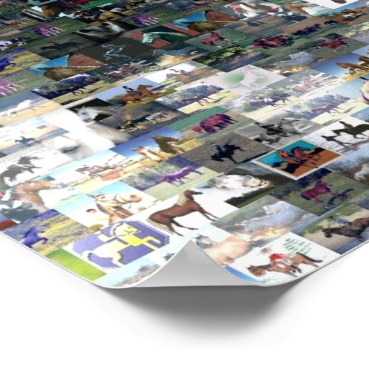 Crazy Horse Indian ポスター (角)