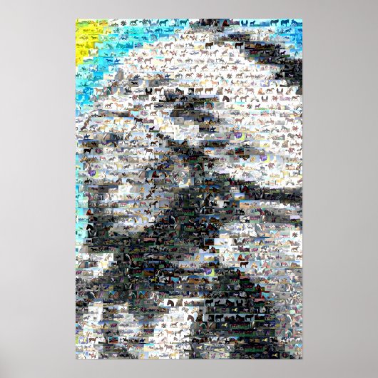 Crazy Horse Indian ポスター (正面)