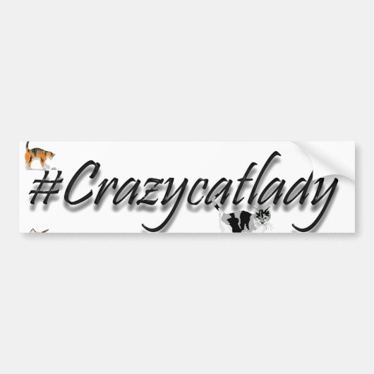 #crazycatladyバンパーステッカー バンパーステッカー (正面)