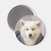 CRBマグネット – コージーベア マグネット (正面/裏面)