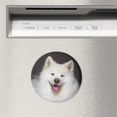 CRB Smiling Magnet マグネット (インサイチュ (食洗機))