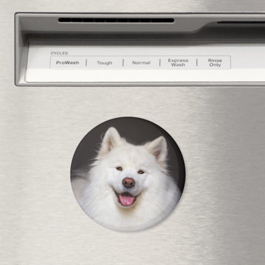 CRB Smiling Magnet マグネット (インサイチュ (食洗機))