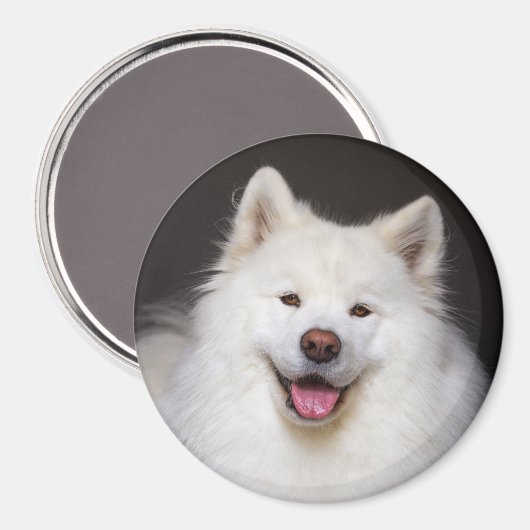 CRB Smiling Magnet マグネット (正面/裏面)