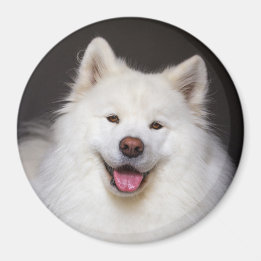 CRB Smiling Magnet マグネット