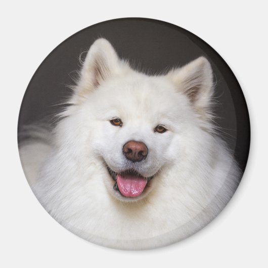 CRB Smiling Magnet マグネット (正面)