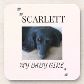 Cream Blush Minimal Pet Photo with Paw Prints コースター (正面)