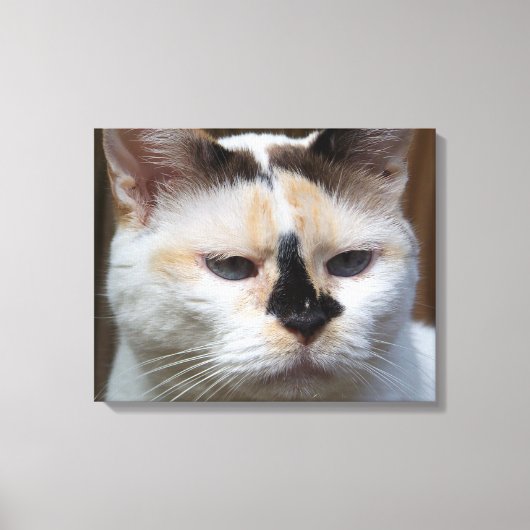 Cream Calico 20"x16"キャンバス印刷 キャンバスプリント (正面)