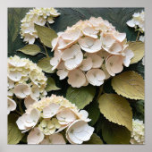 Cream Hydrangeas with Textured Leaves  ポスター (正面)