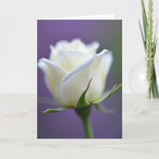 Creamy Mothers Day Blossom Card カード (正面)