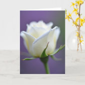 Creamy Mothers Day Blossom Card カード (黄色い花)