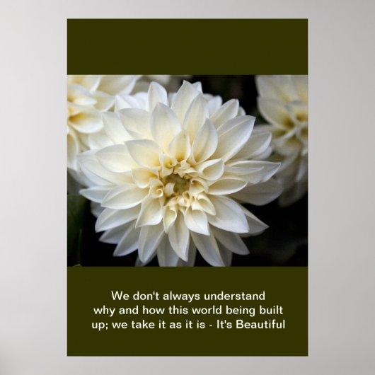 Create you own nature photography poster ポスター (正面)